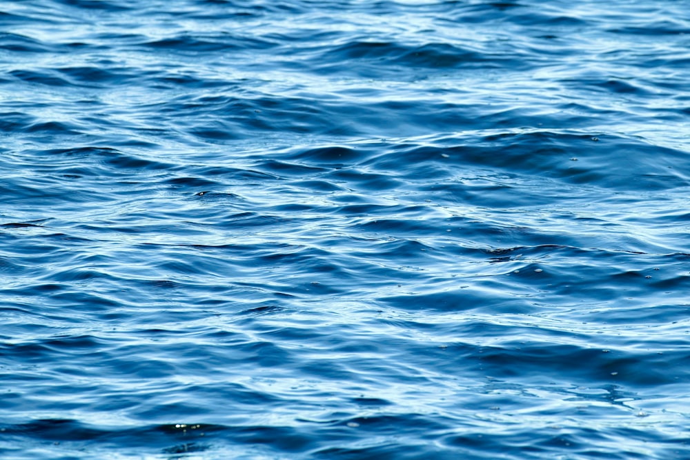 blue body of water during daytime