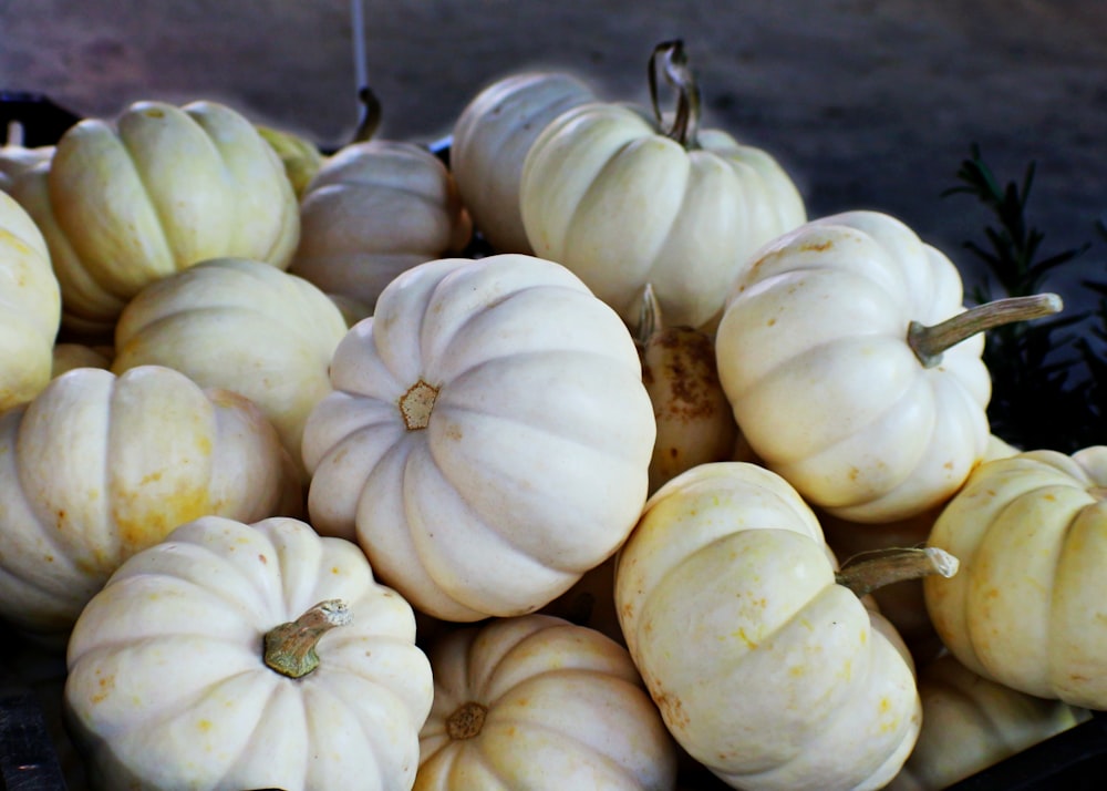 white and yellow pumpkins on ground