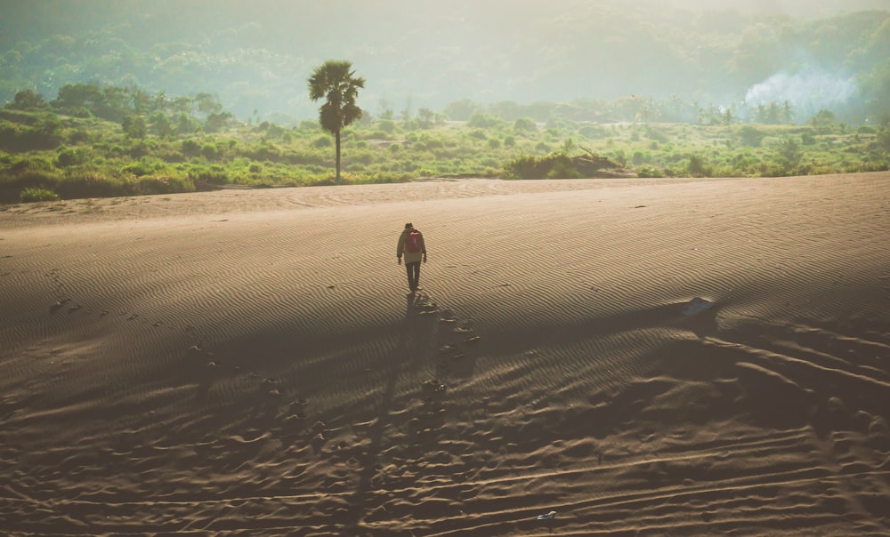 person walking on brown sand during daytime