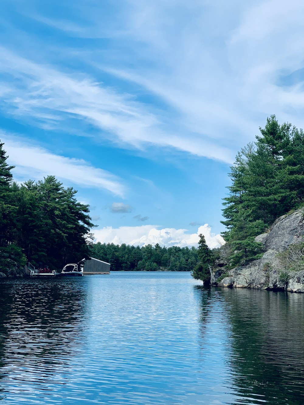 green trees beside body of water under blue sky during daytime