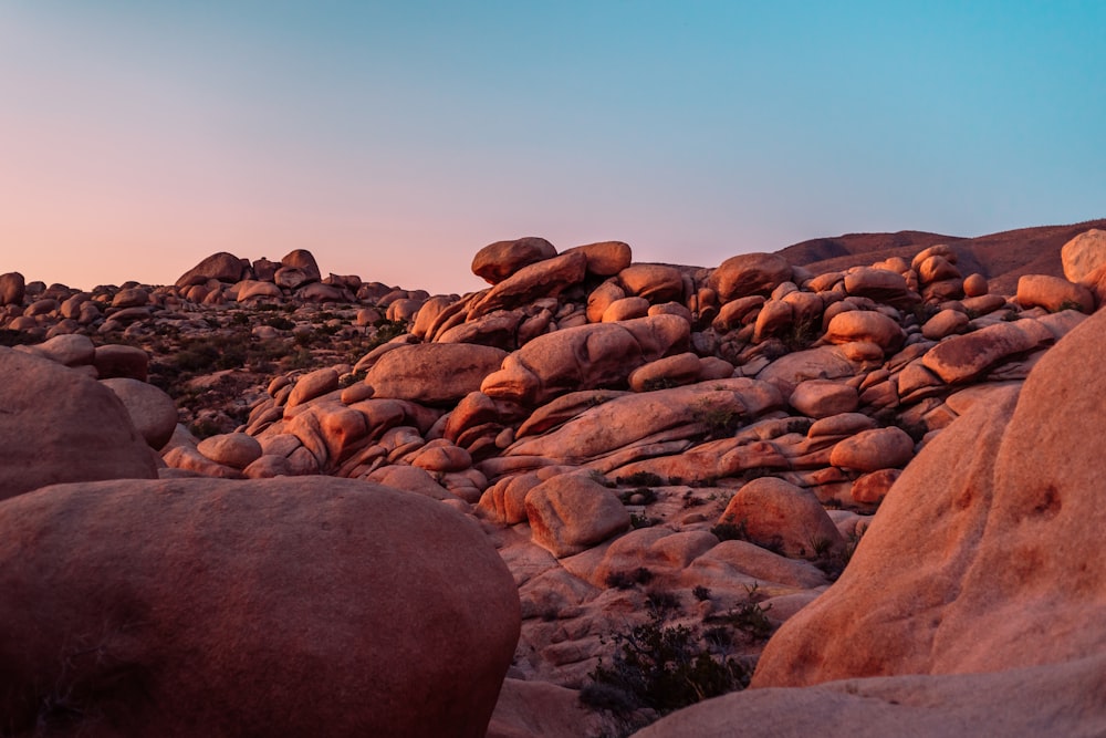 brown rocks on gray rocky shore during daytime