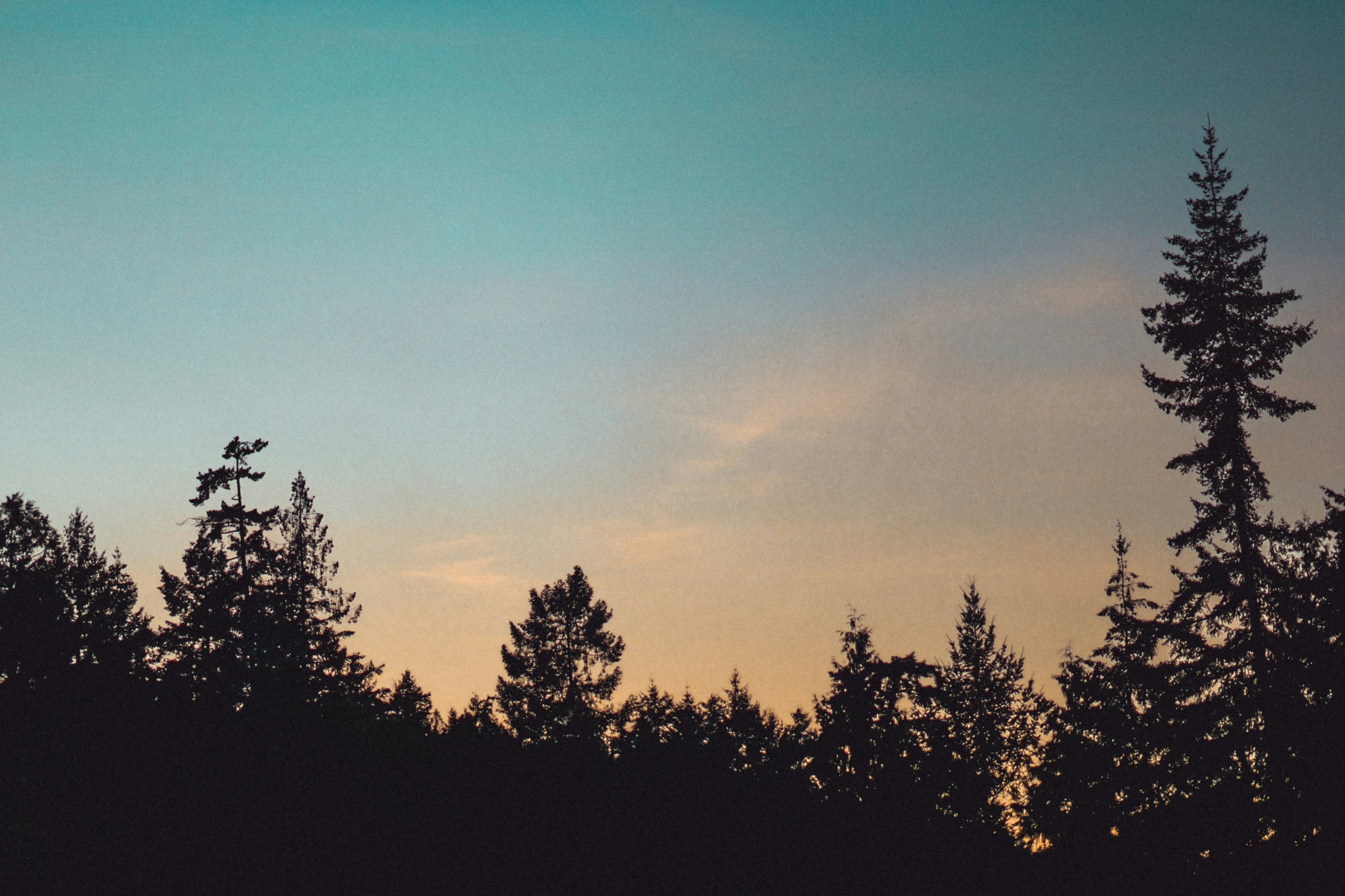 Photo by jaspergarrattphotography