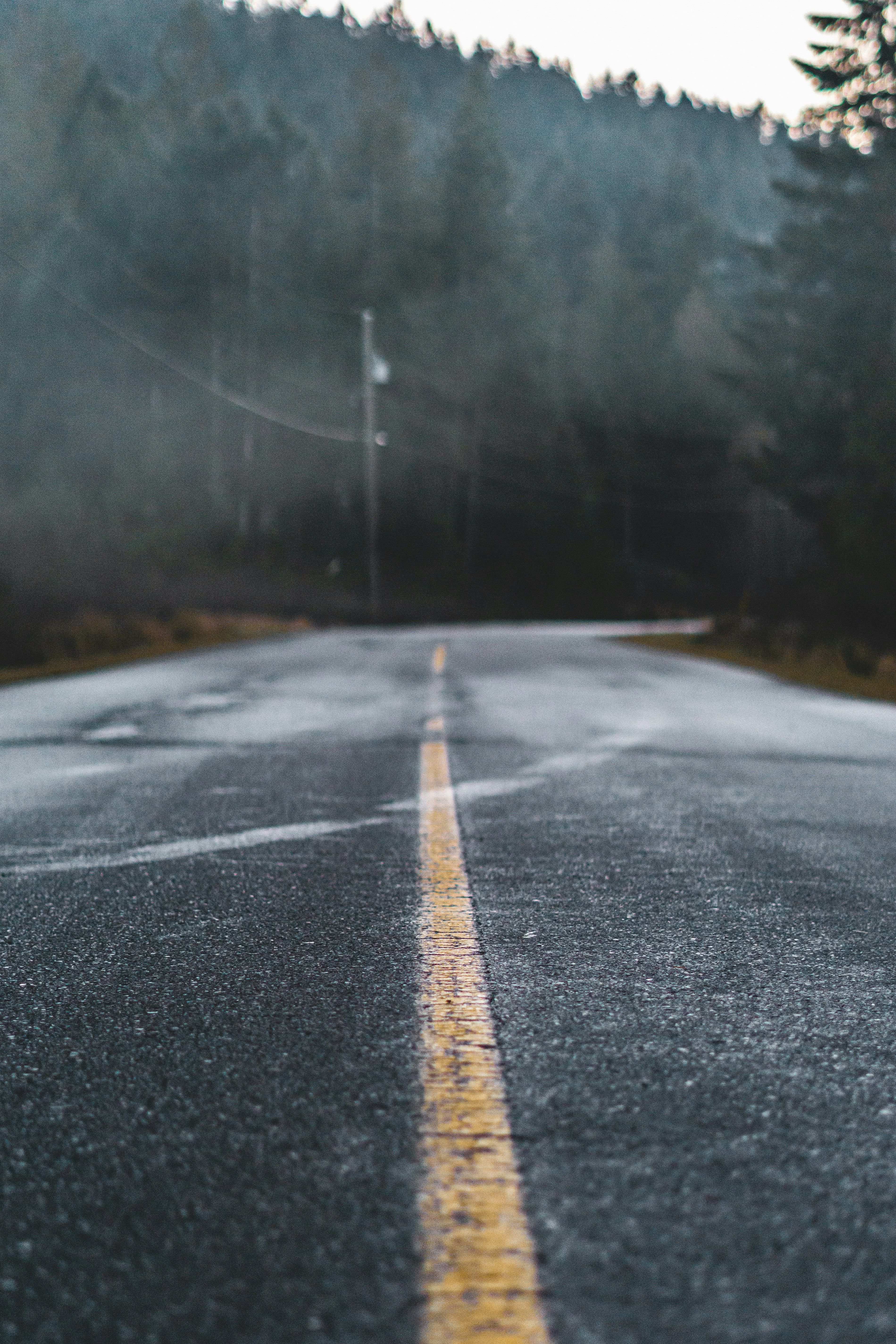 Photo by jaspergarrattphotography