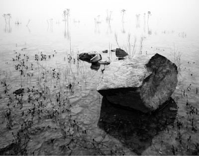 A serene landscape with subtle symbolic patterns woven into the natural surroundings.