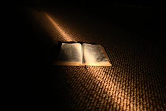 opened book on brown textile
