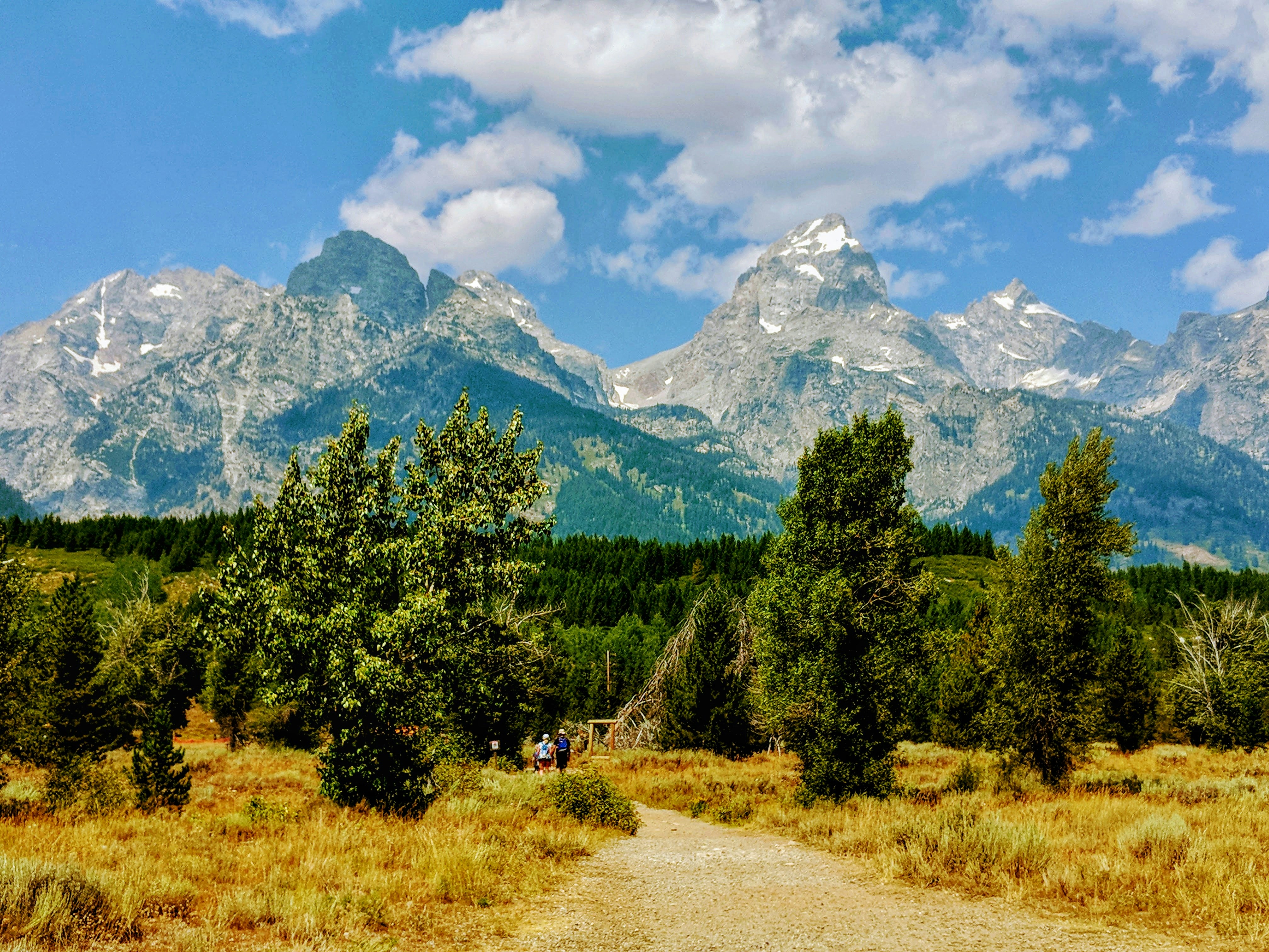 Green trees and mountain under blue sky and white clouds during daytime ...