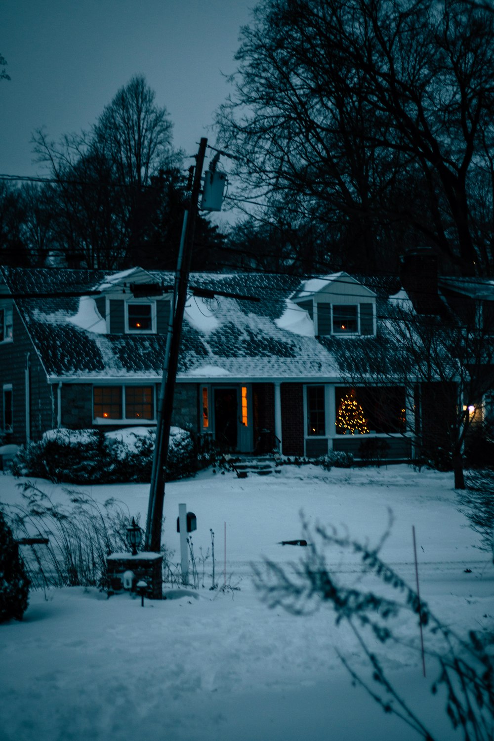 brown and white house near trees during night time