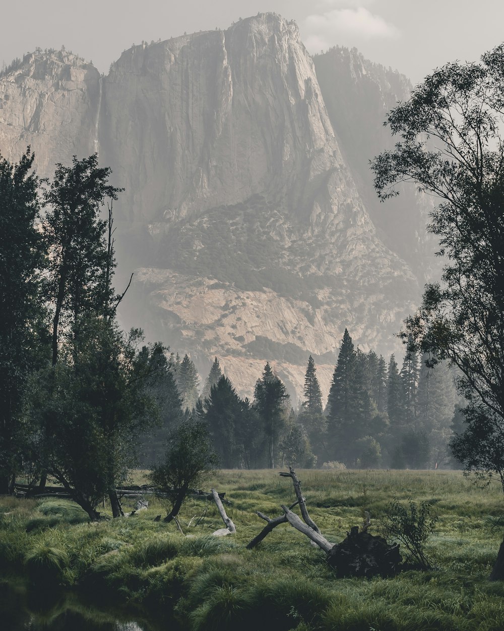 green trees near mountain during daytime