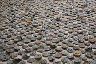 A large collection of broken ceramic plates and bowls spread out on a surface, featuring intricate blue patterns on a predominantly white background. The ceramics appear to be deliberately arranged in an artistic manner.
