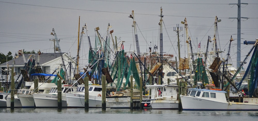 white and blue boat on dock during daytime