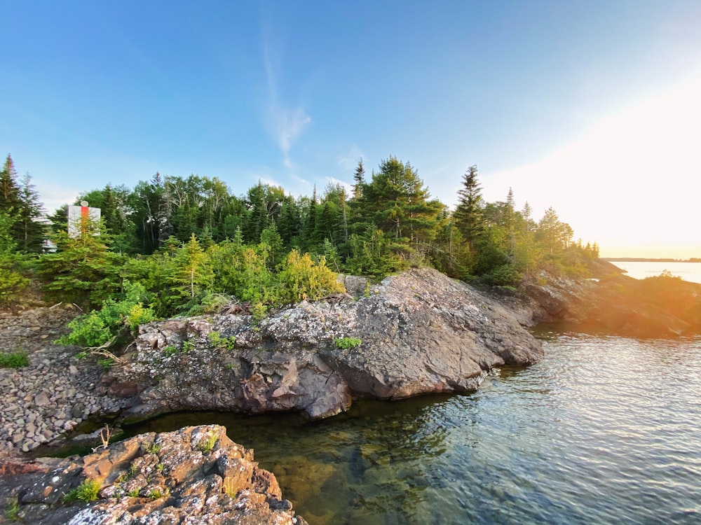 a rocky shore with trees and a body of water