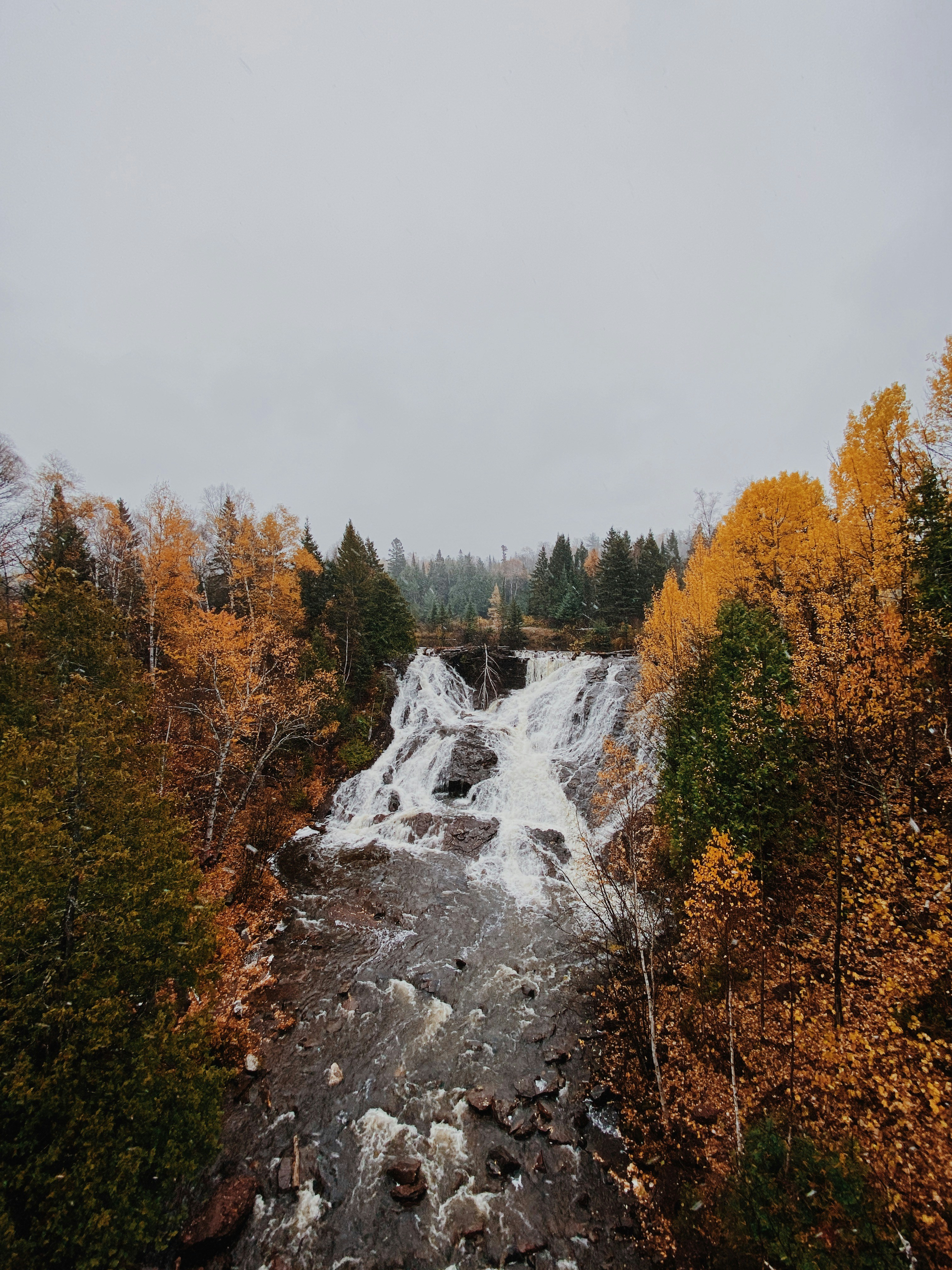 alberi marroni e verdi vicino a cascate sotto cielo bianco durante il giorno