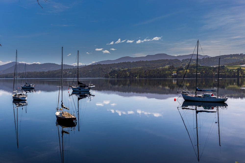 white and black boat on water under blue sky during daytime