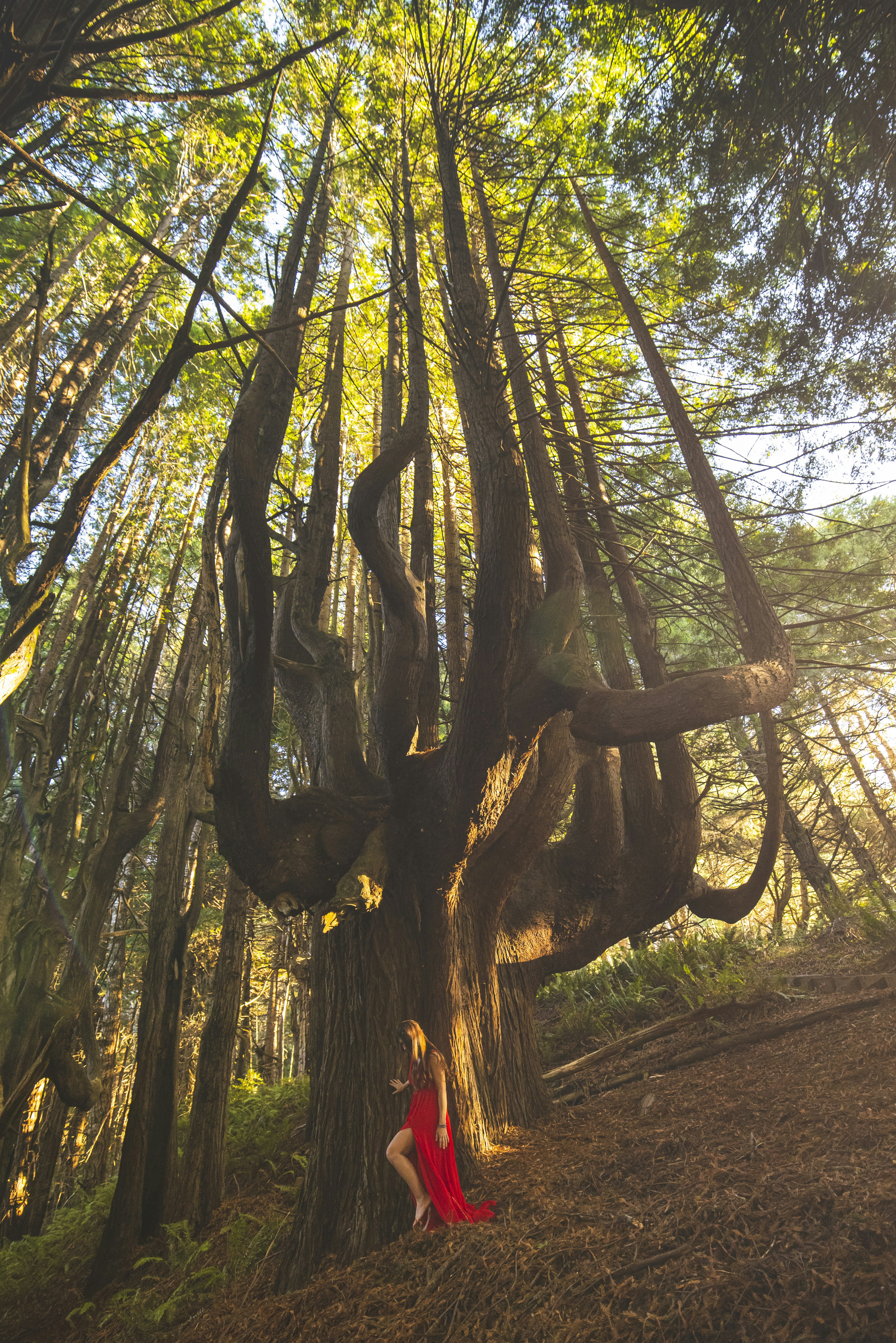 Photo by leo_visions_