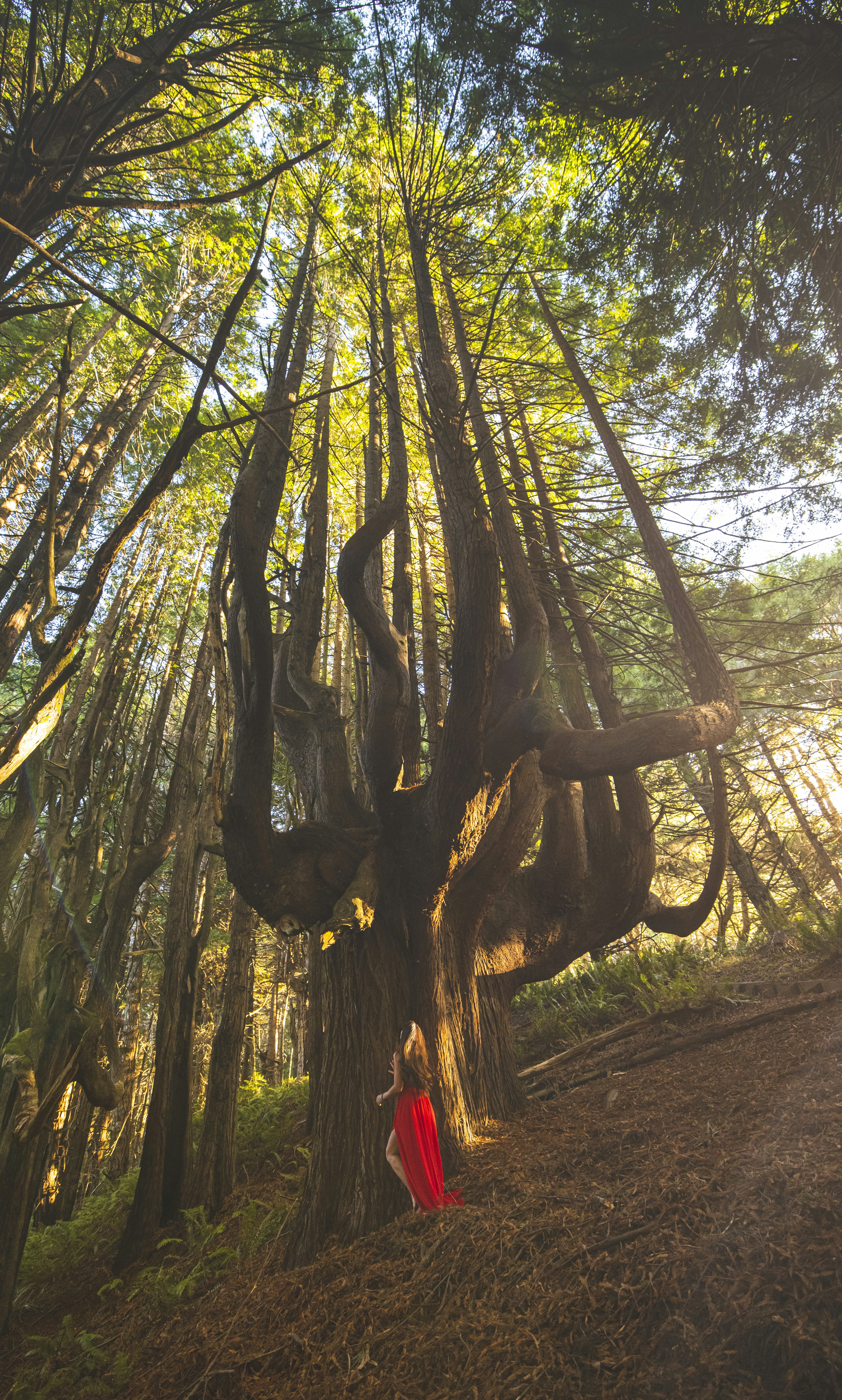 Photo by leo_visions_