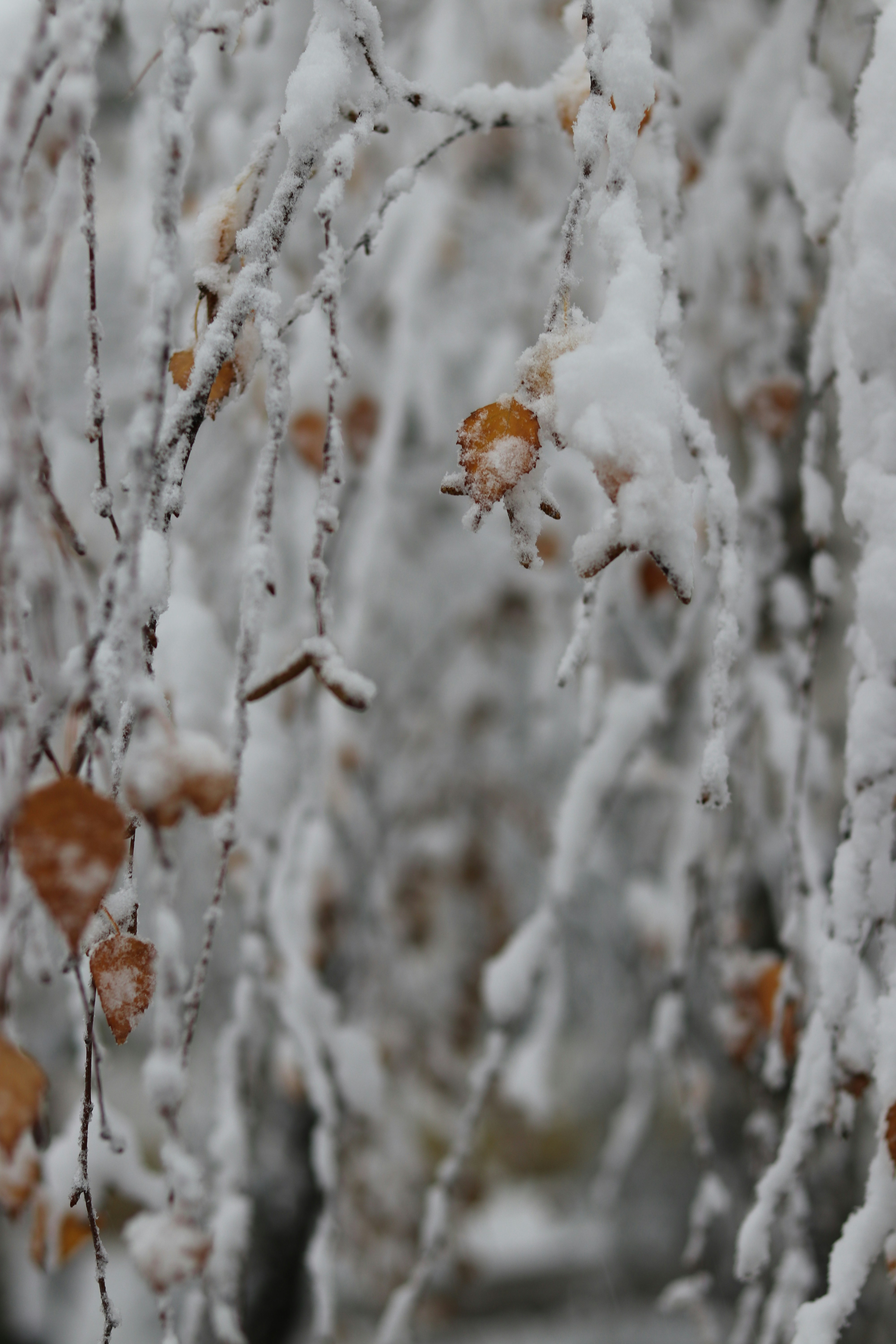 Photo by reloadworld4dreamers