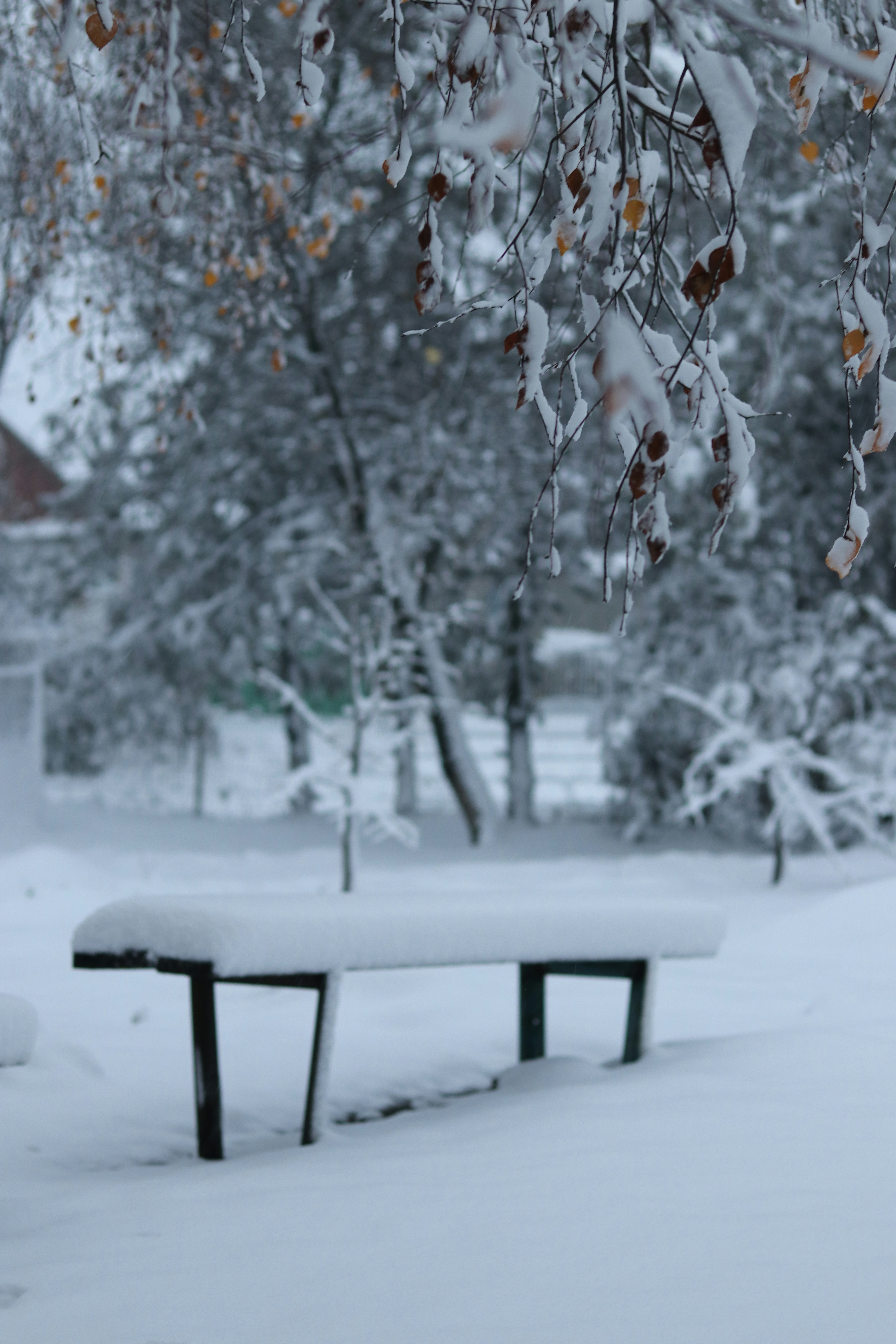 Photo by reloadworld4dreamers