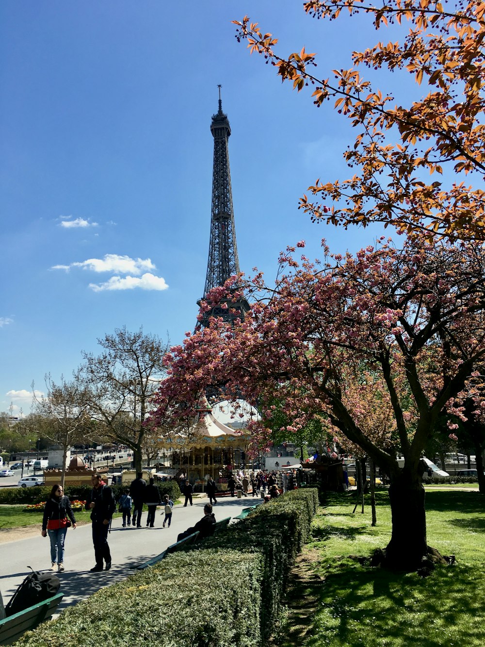 people walking on park near red and white christmas tree during daytime