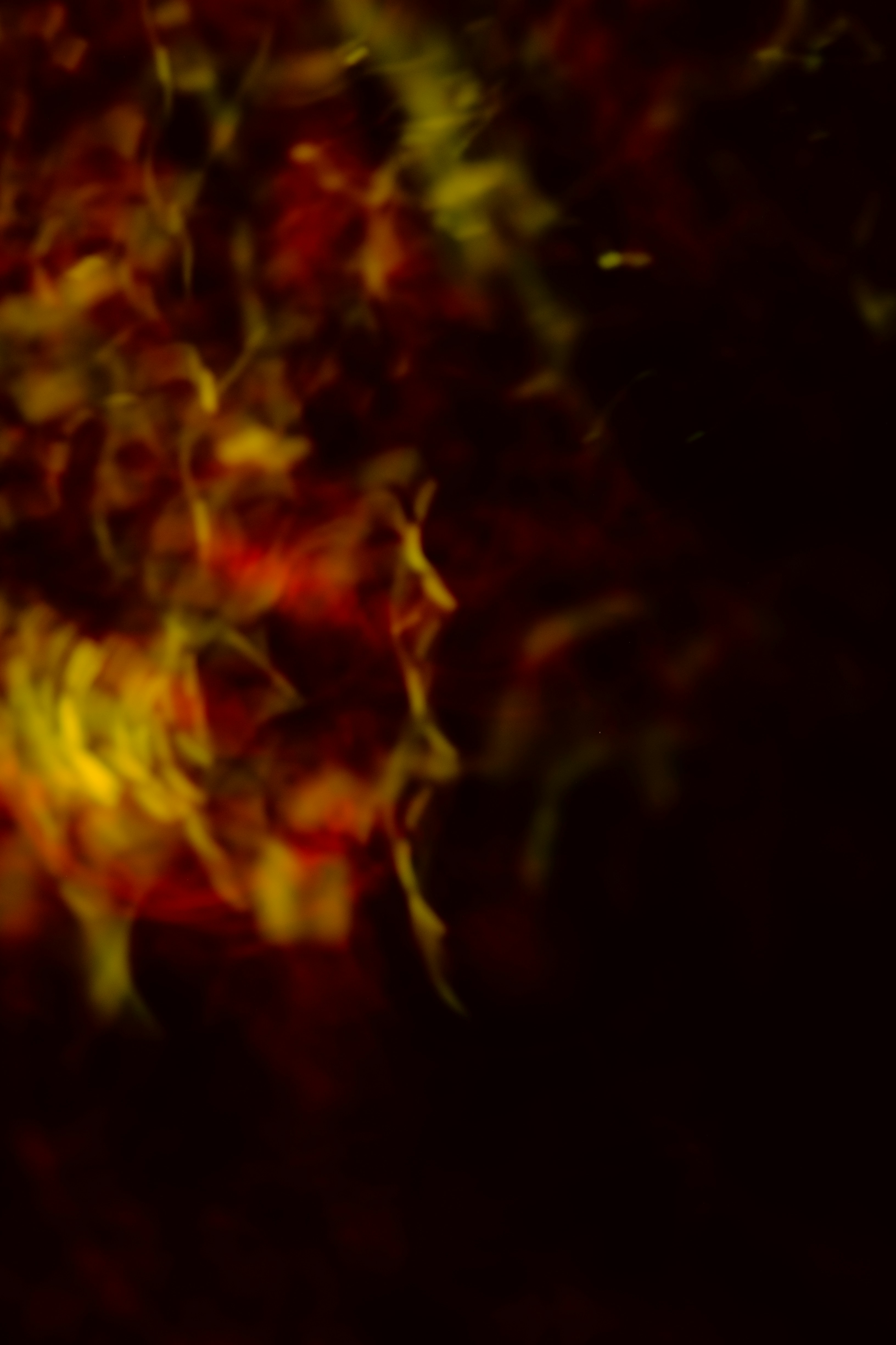 Photo by hanneskrupinski