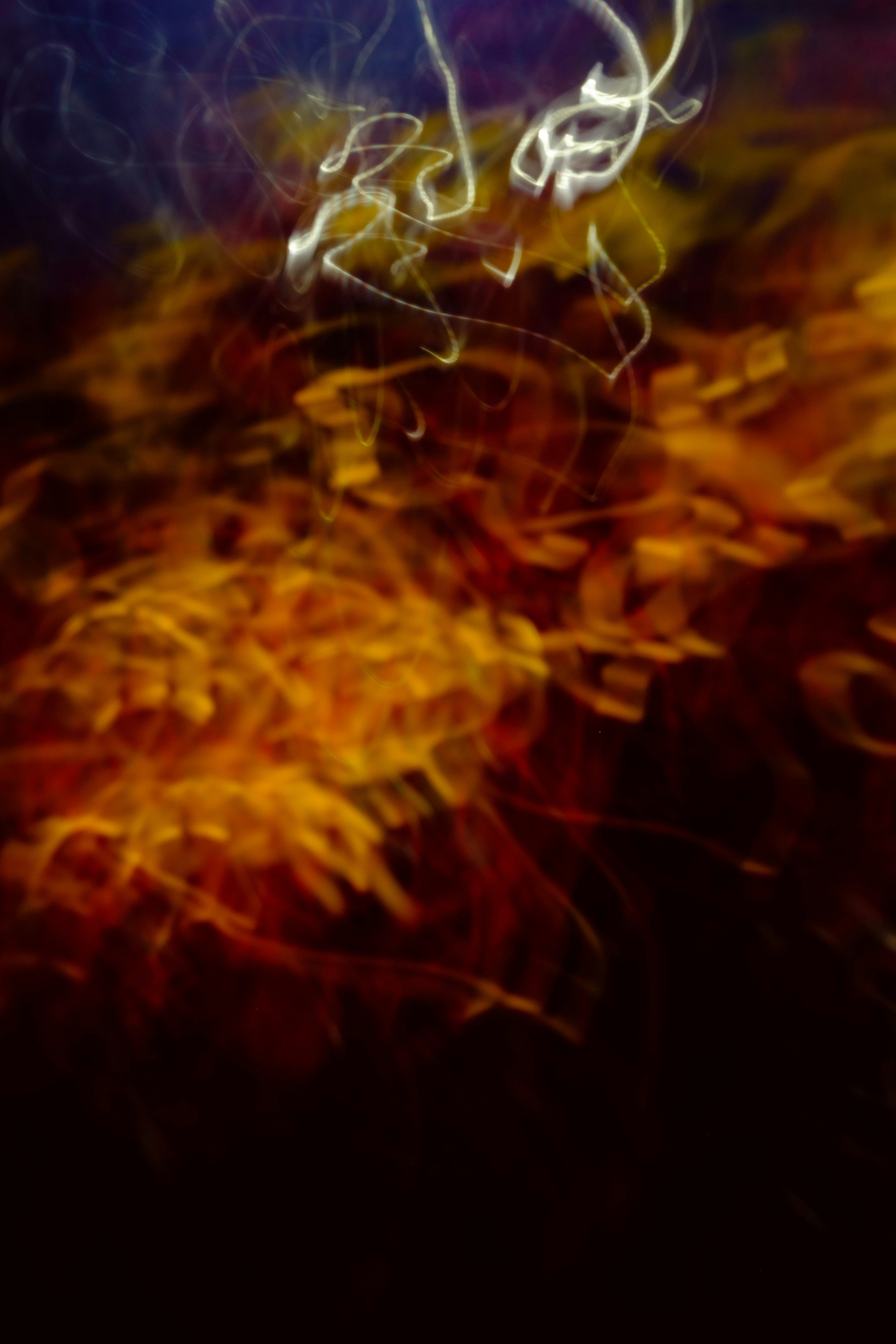 Photo by hanneskrupinski