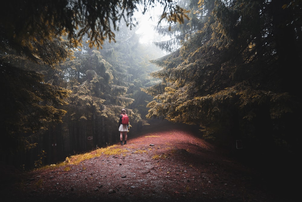 person in red jacket walking on dirt road between trees during daytime