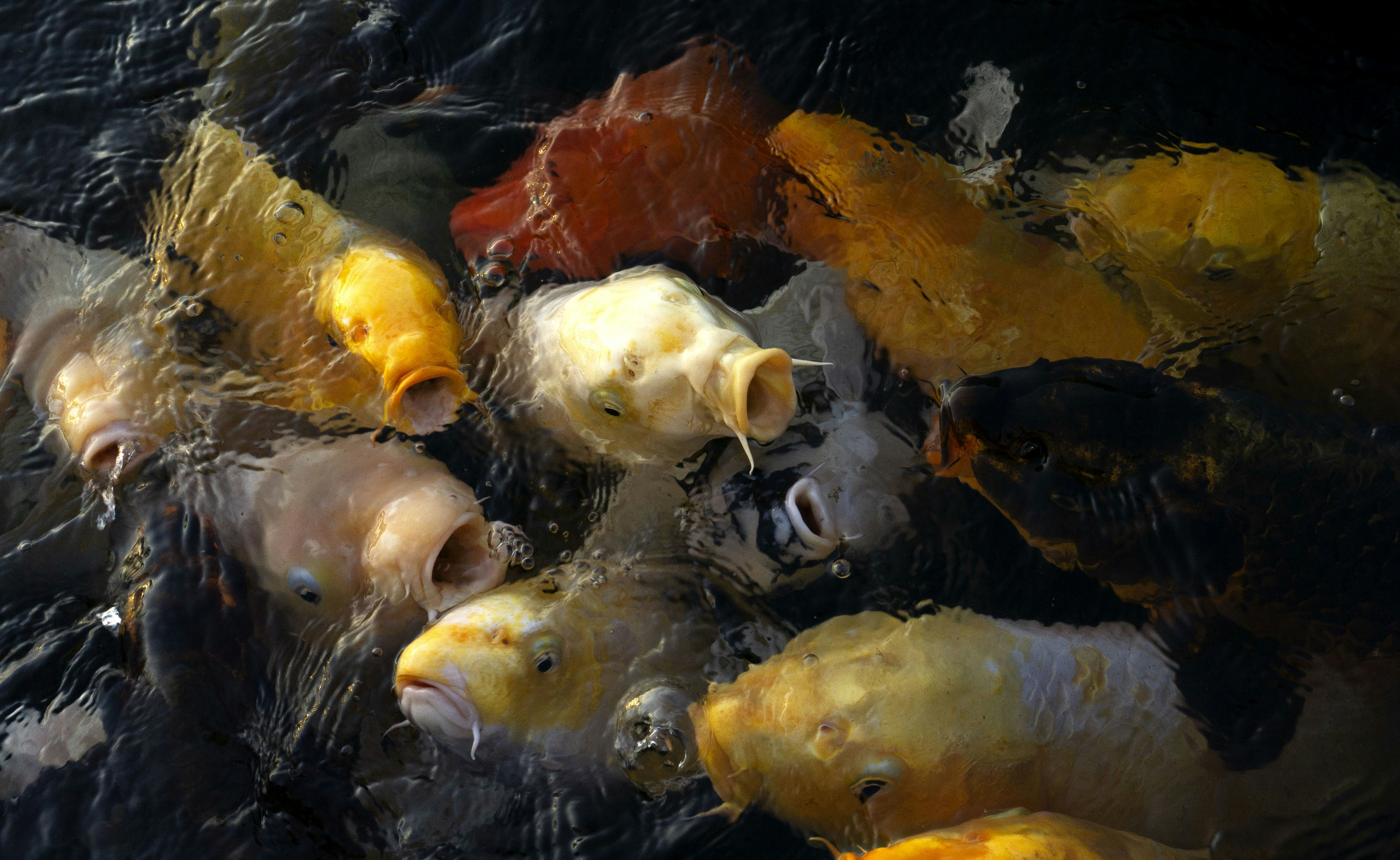 Photo by amandine_latour