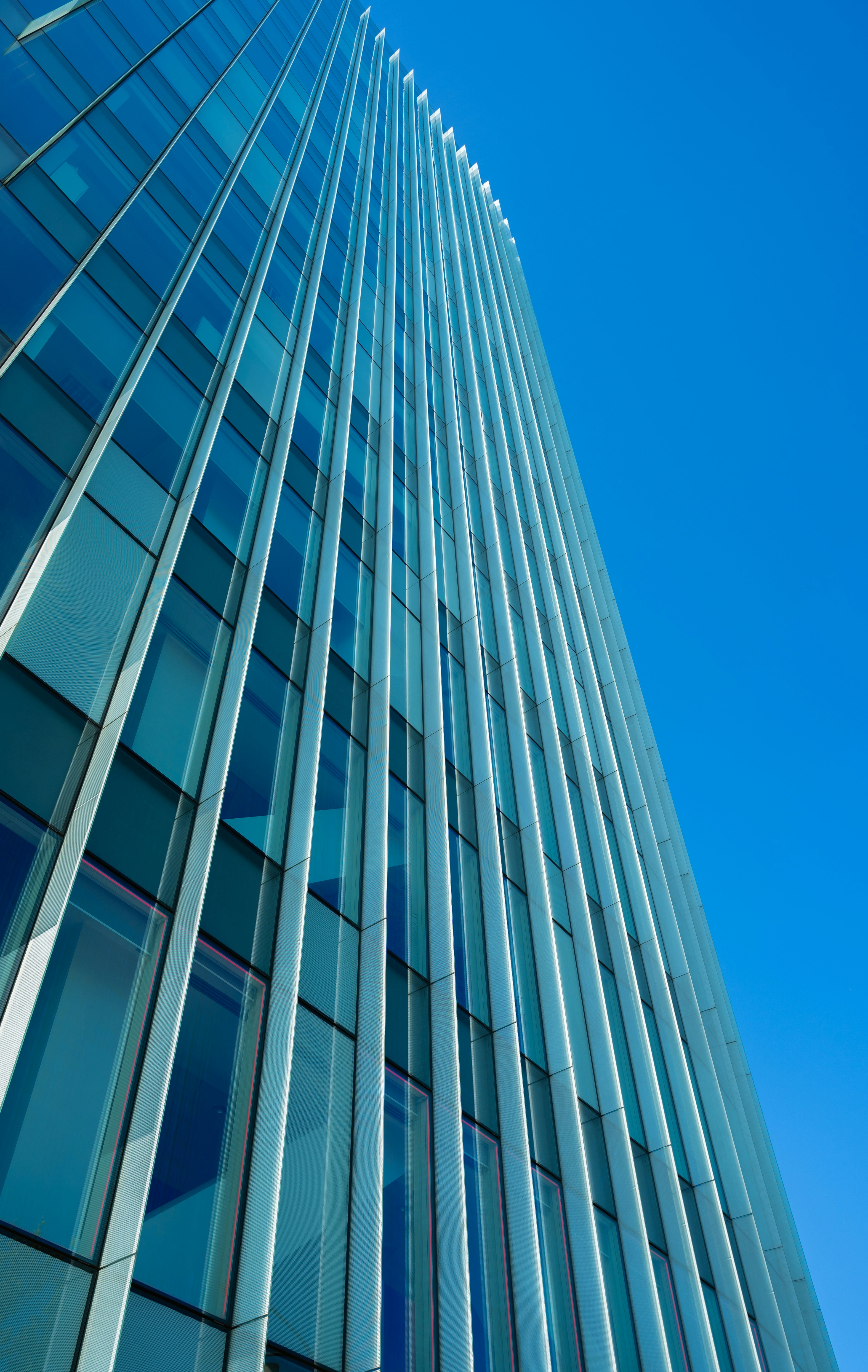 Photo by bostanflorin