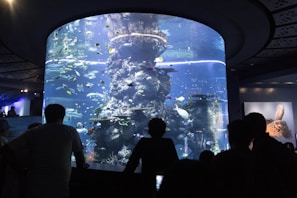 A large cylindrical aquarium filled with a variety of colorful fish and marine life is surrounded by several silhouettes of people observing. The aquarium is well-lit, showcasing the aquatic environment with rocks and plants, while the background is dimly lit, adding contrast.