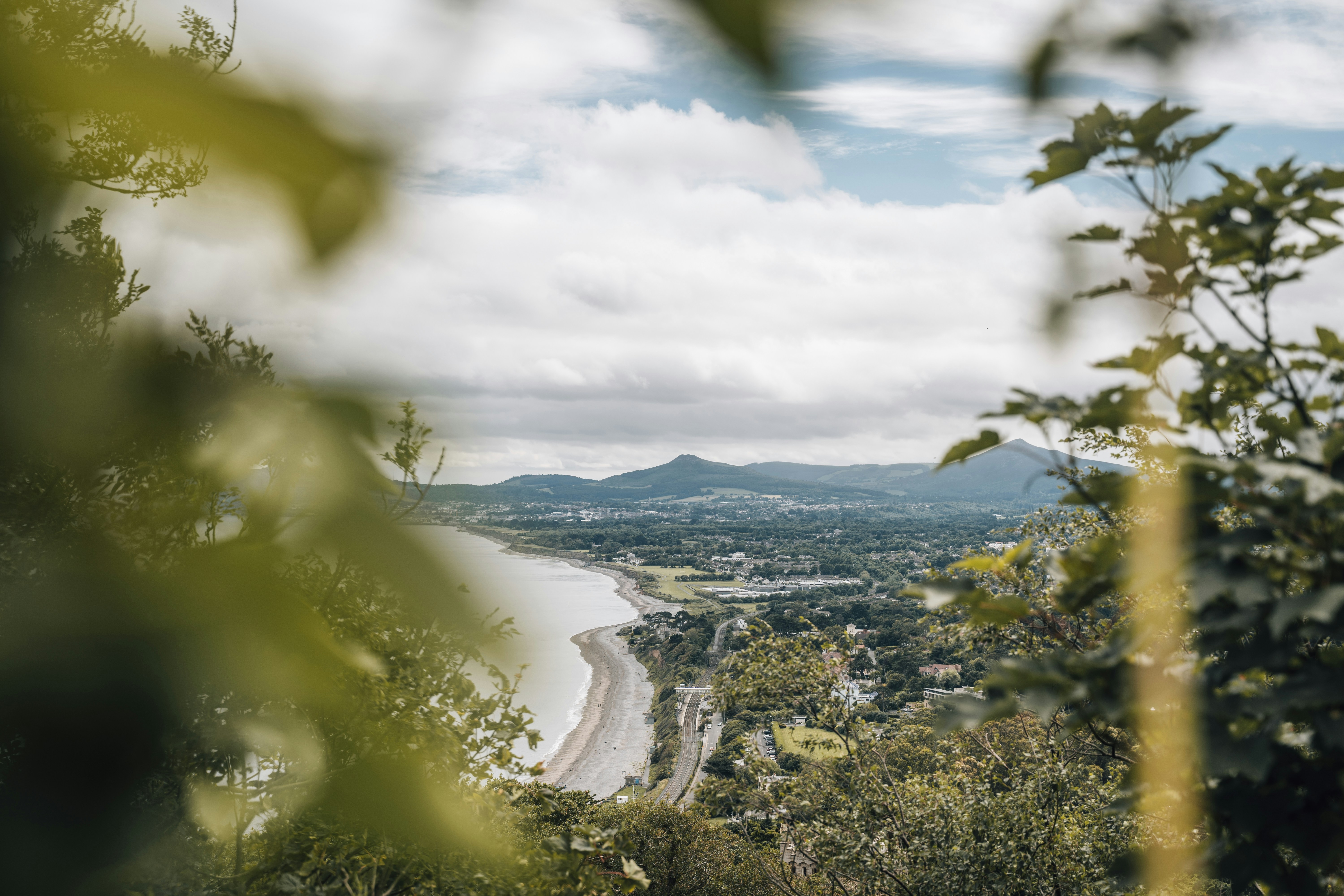 green trees near body of water under white clouds during daytime