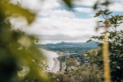 green trees near body of water under white clouds during daytime dublin google meet background