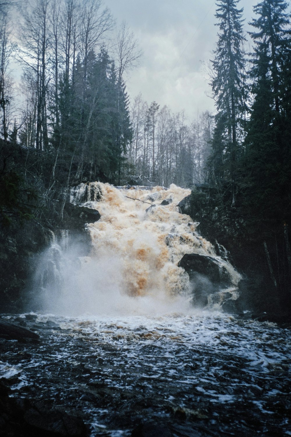 water falls in the middle of the forest