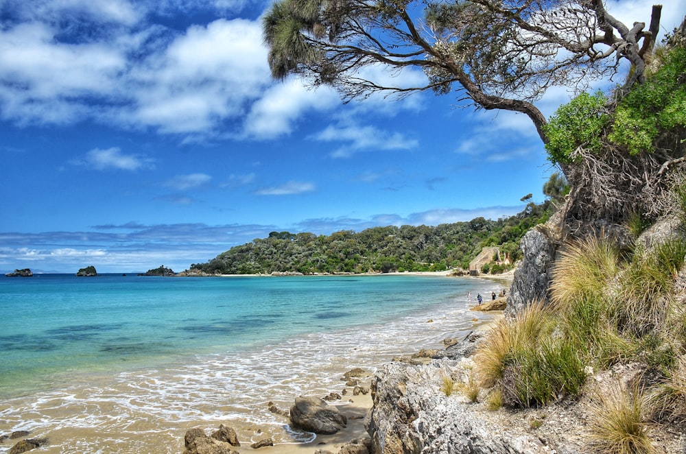 green trees on brown rocky shore near blue sea under blue and white cloudy sky during