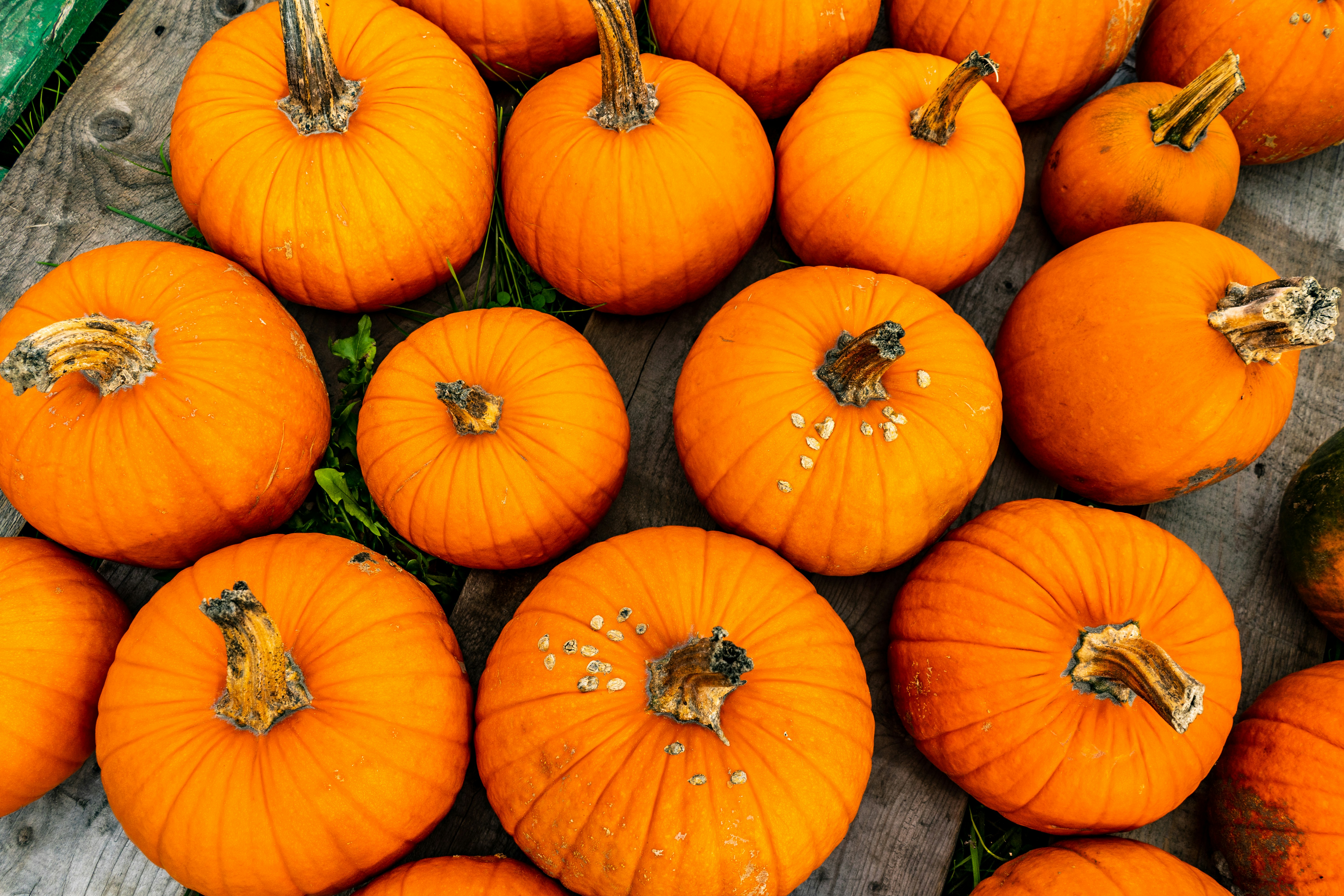 Photo by chris_robert