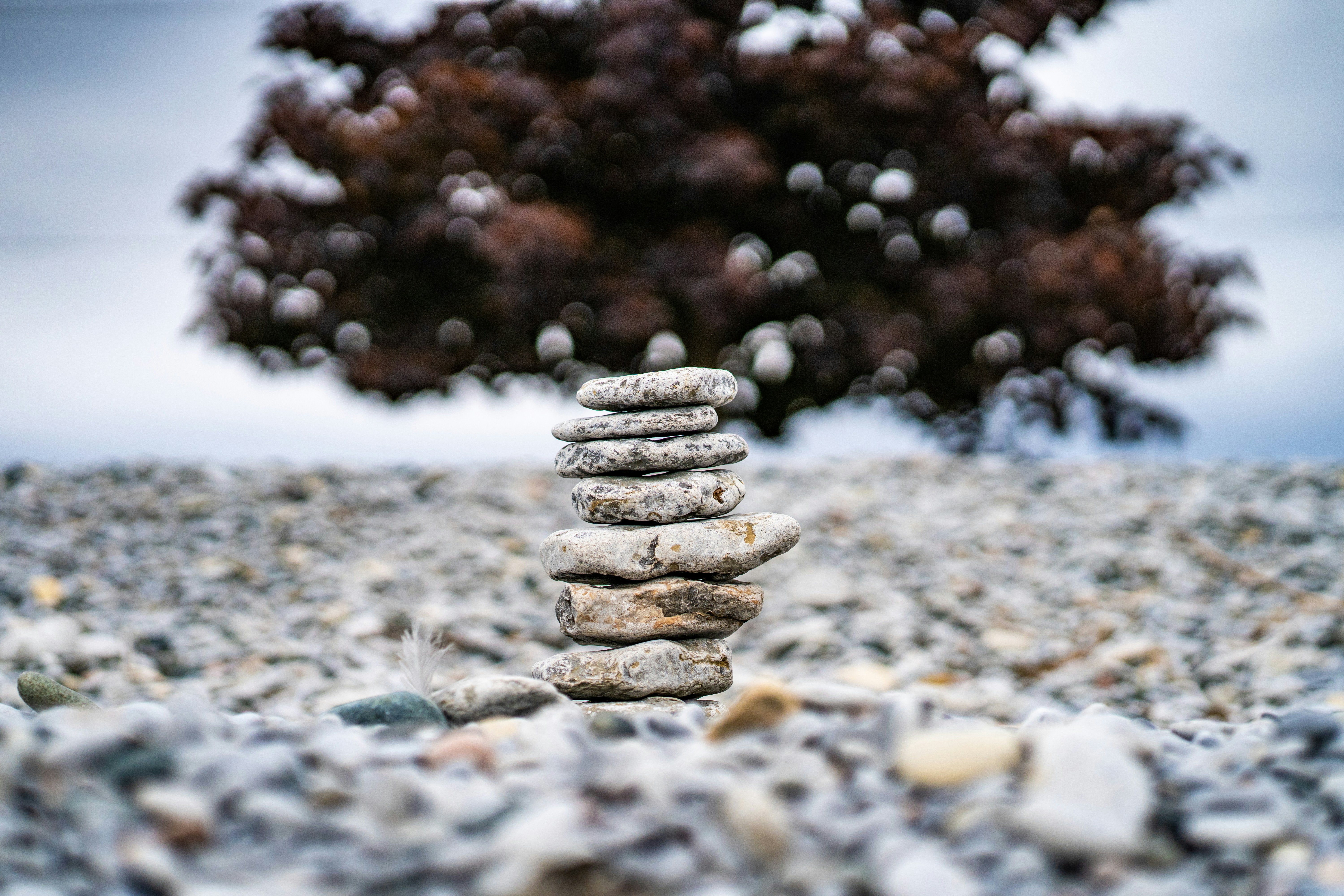 Photo by chris_robert