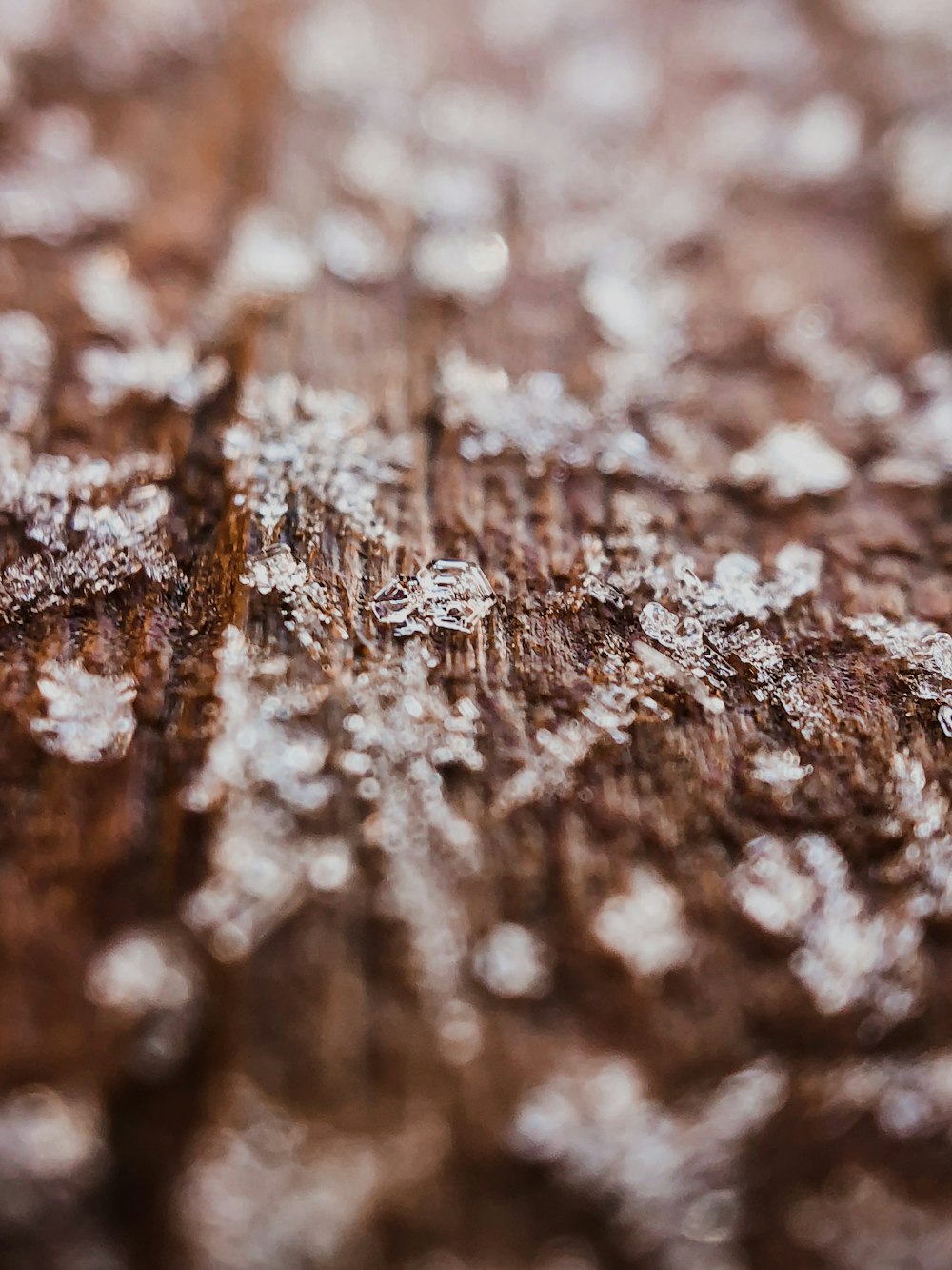 neige brune et blanche sur surface en bois brun