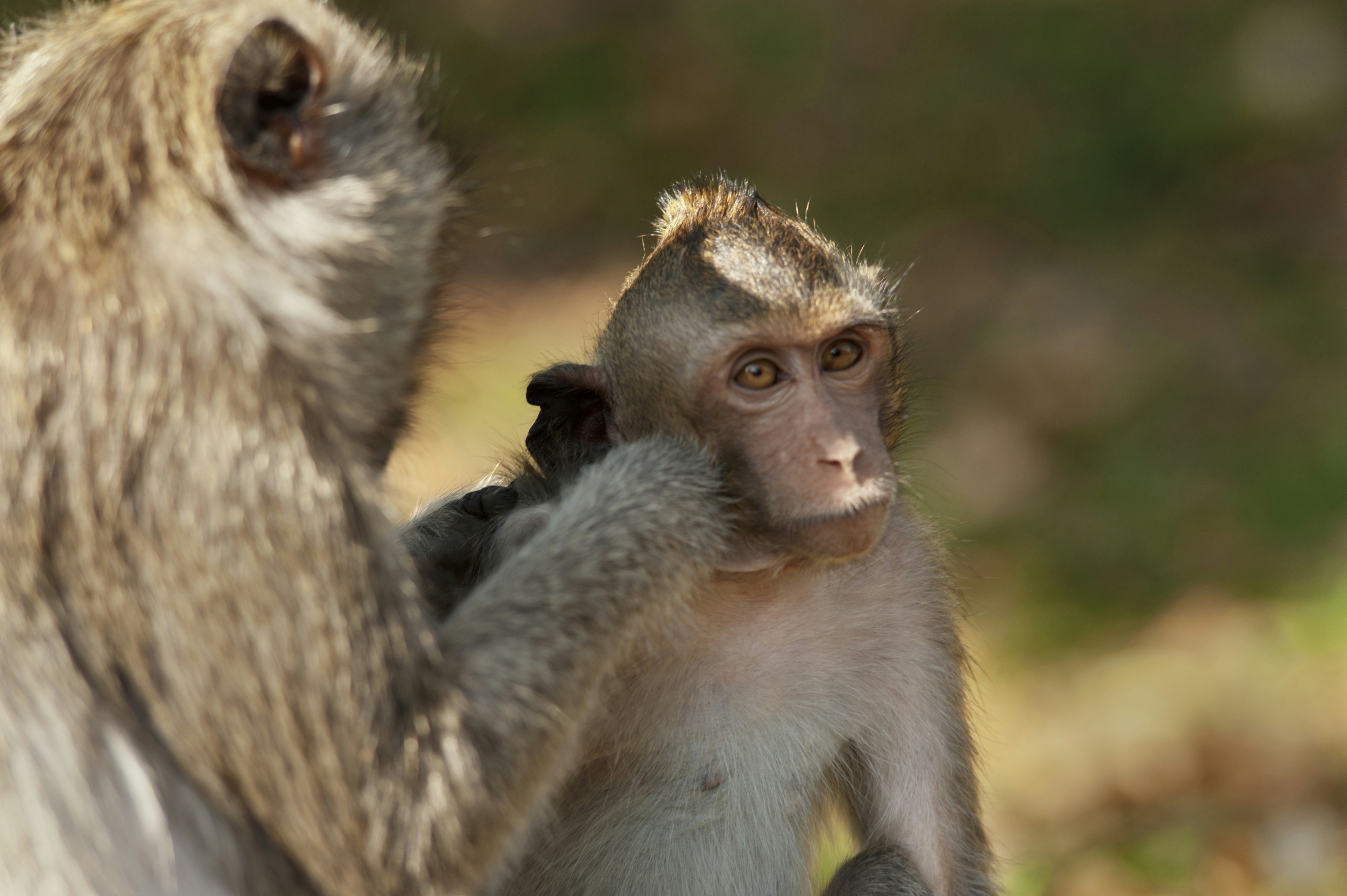 Photo by photographycoursenet