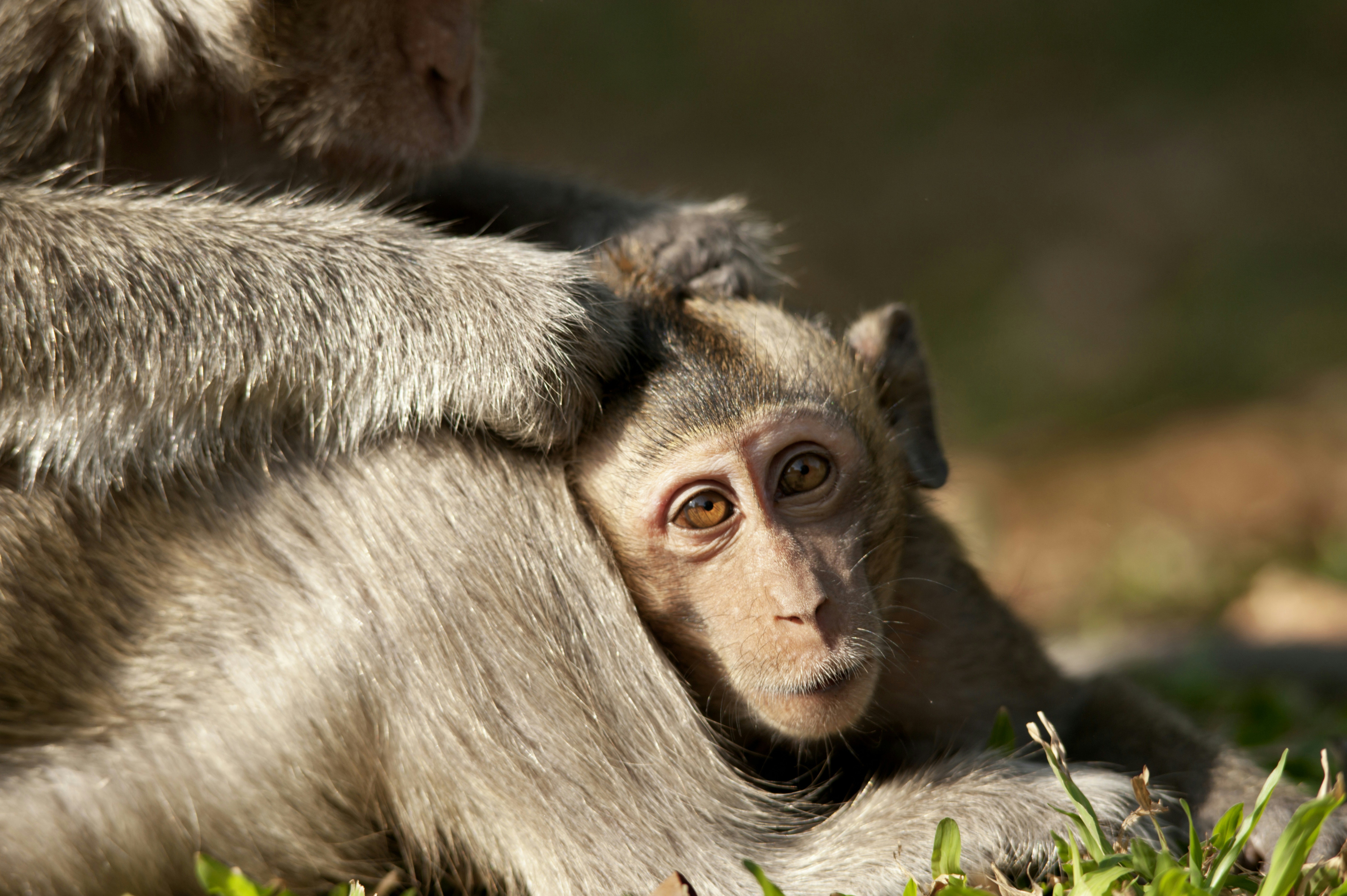 Photo by photographycoursenet