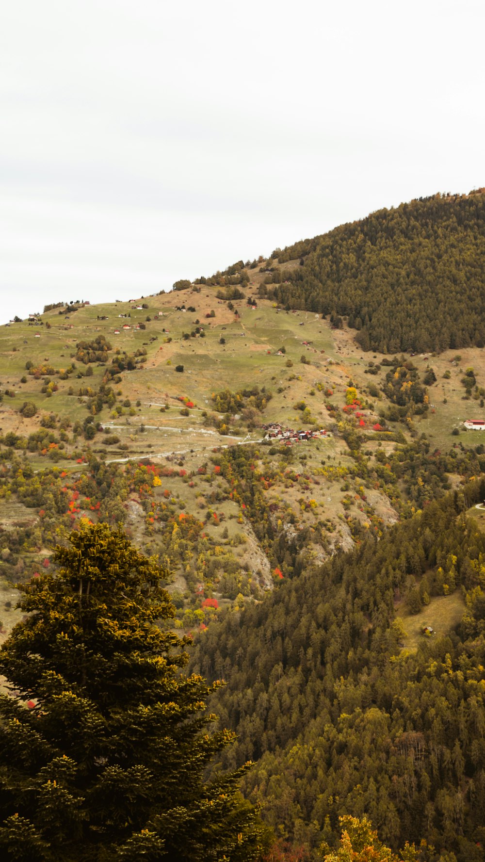 montanha verde e marrom sob o céu branco durante o dia