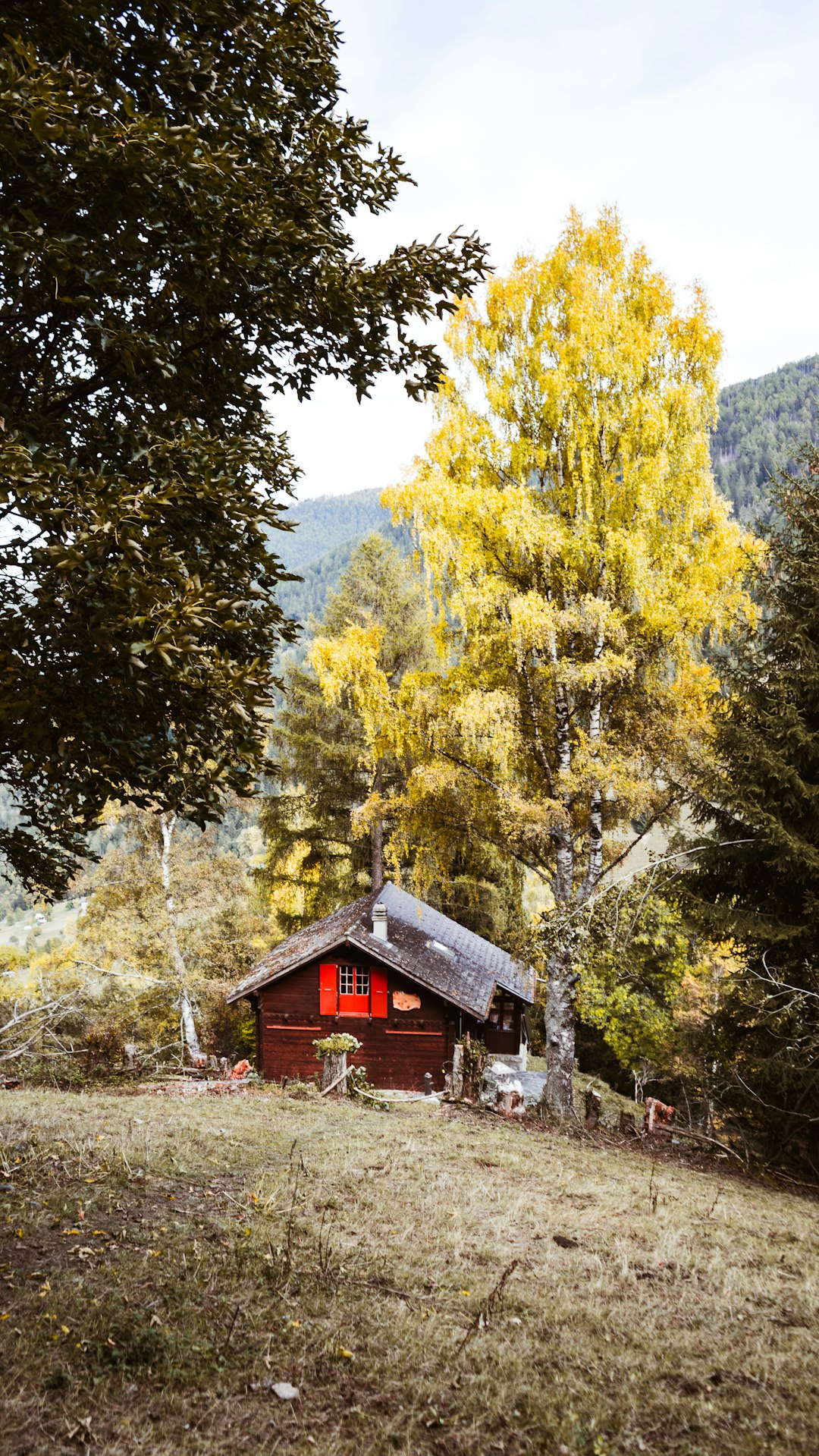 brown wooden house near green trees during daytime