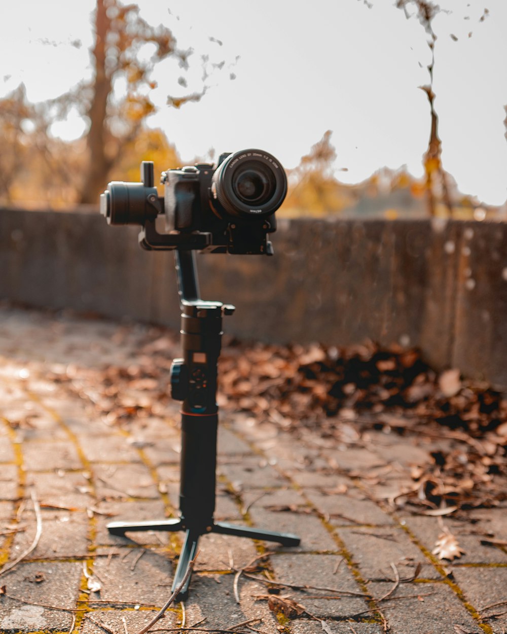 black dslr camera on brown wooden table