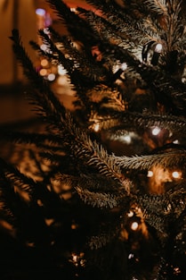 green christmas tree with string lights