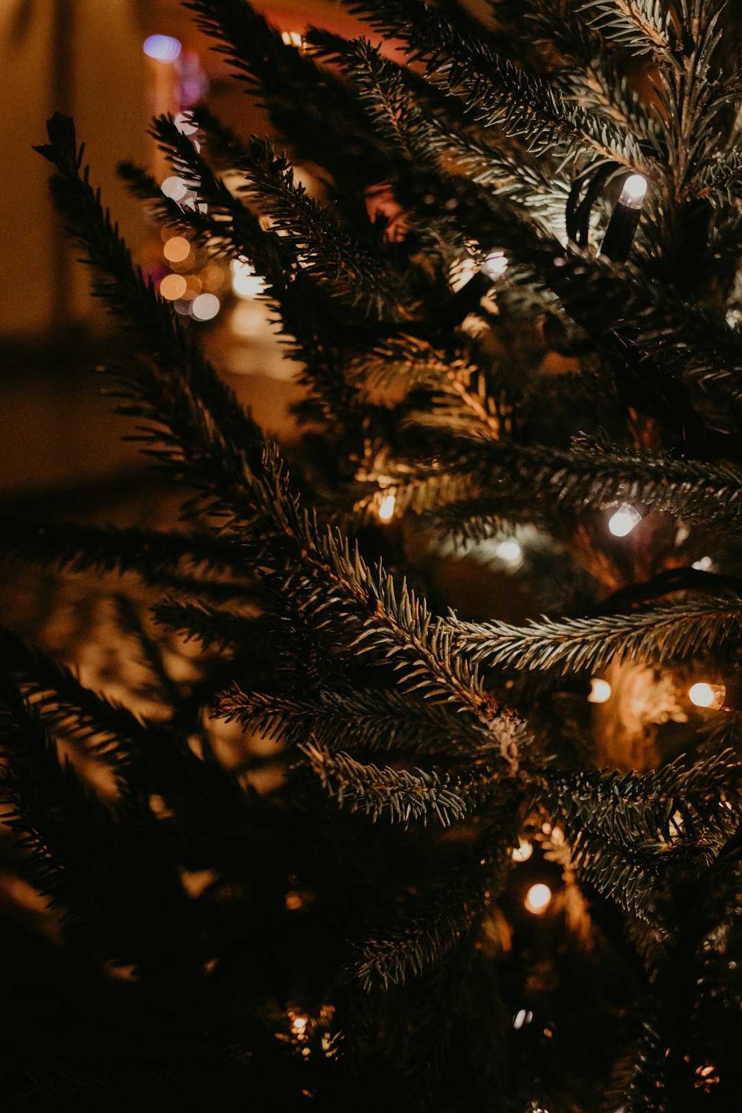 green christmas tree with string lights