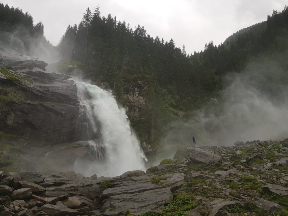 water falls in the middle of the forest