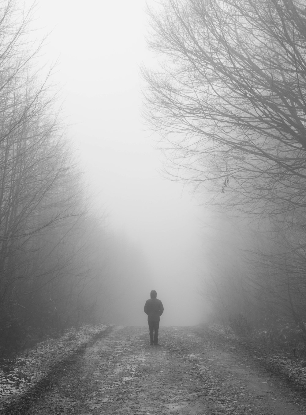 person in black jacket standing on foggy forest