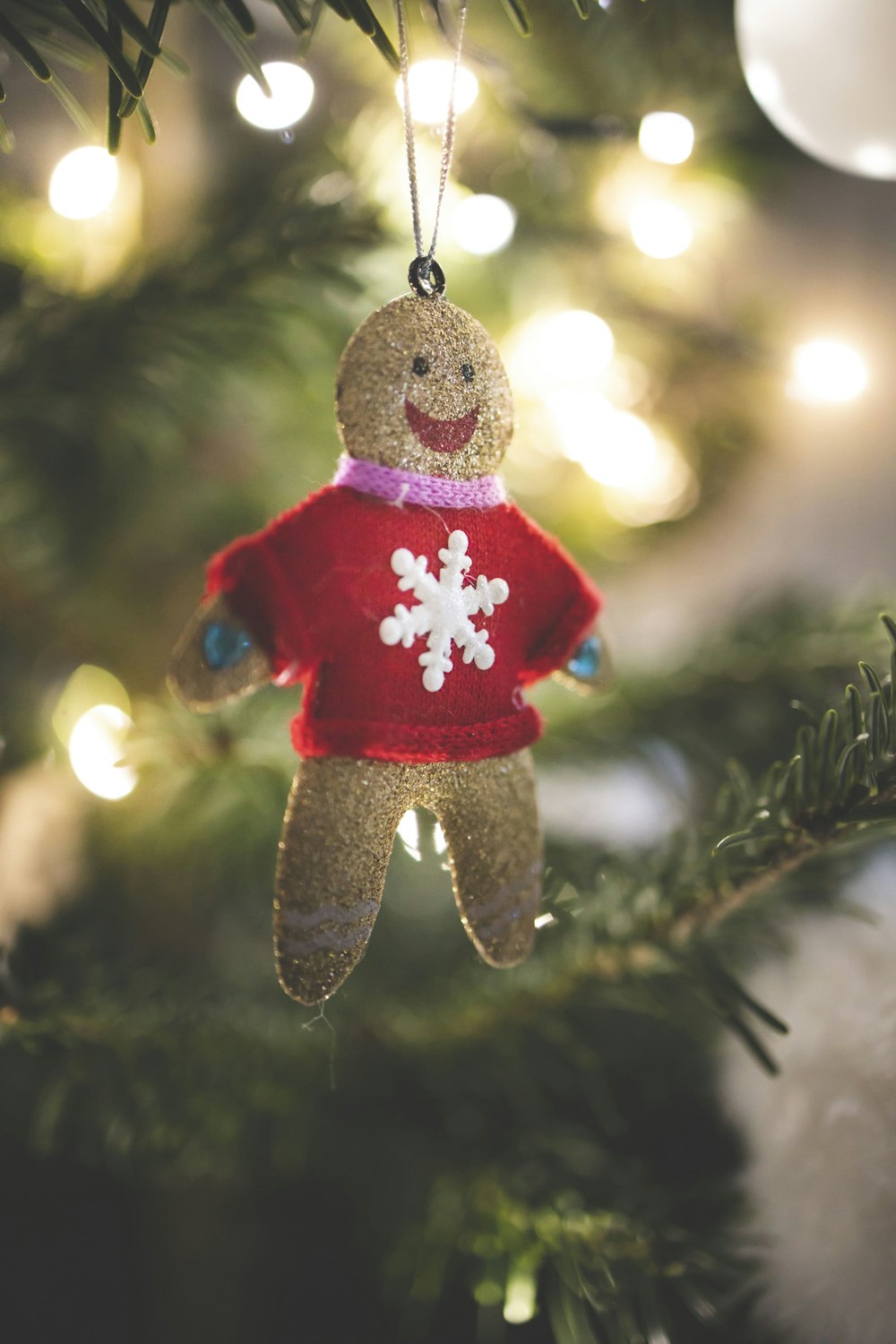 brown bear plush toy hanging on tree