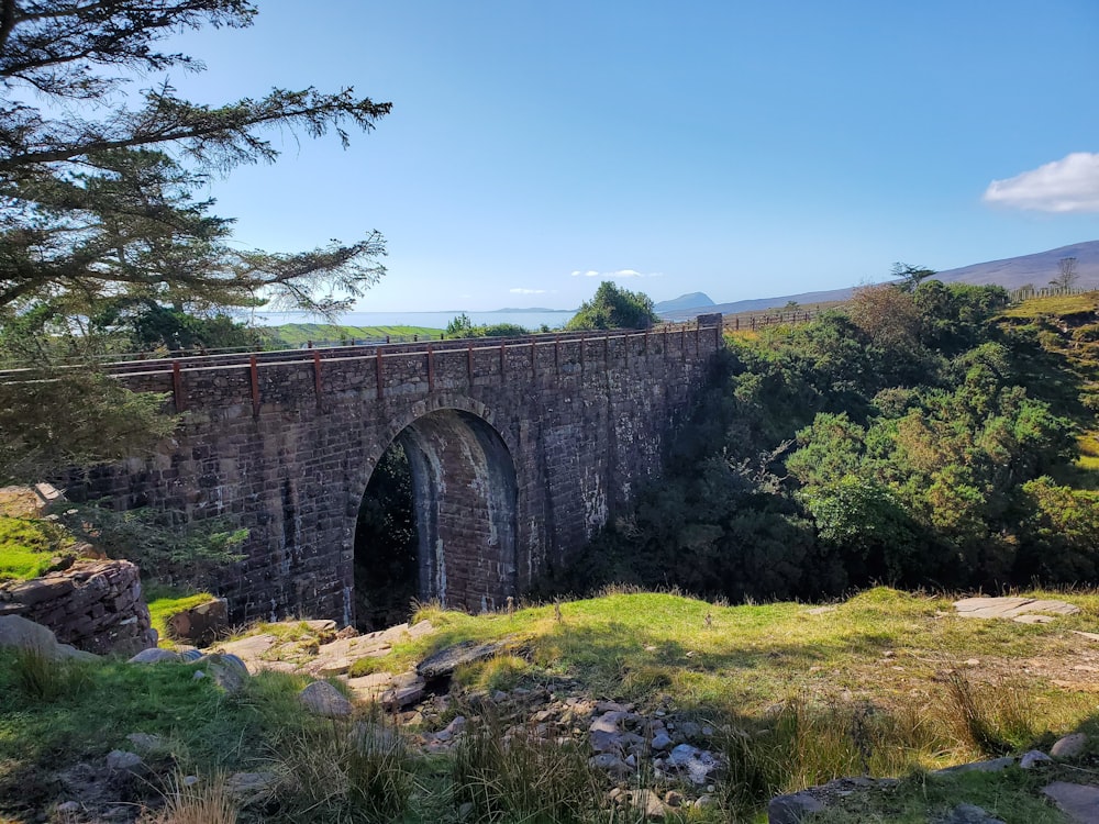 Graue Betonbrücke über grünes Grasfeld tagsüber