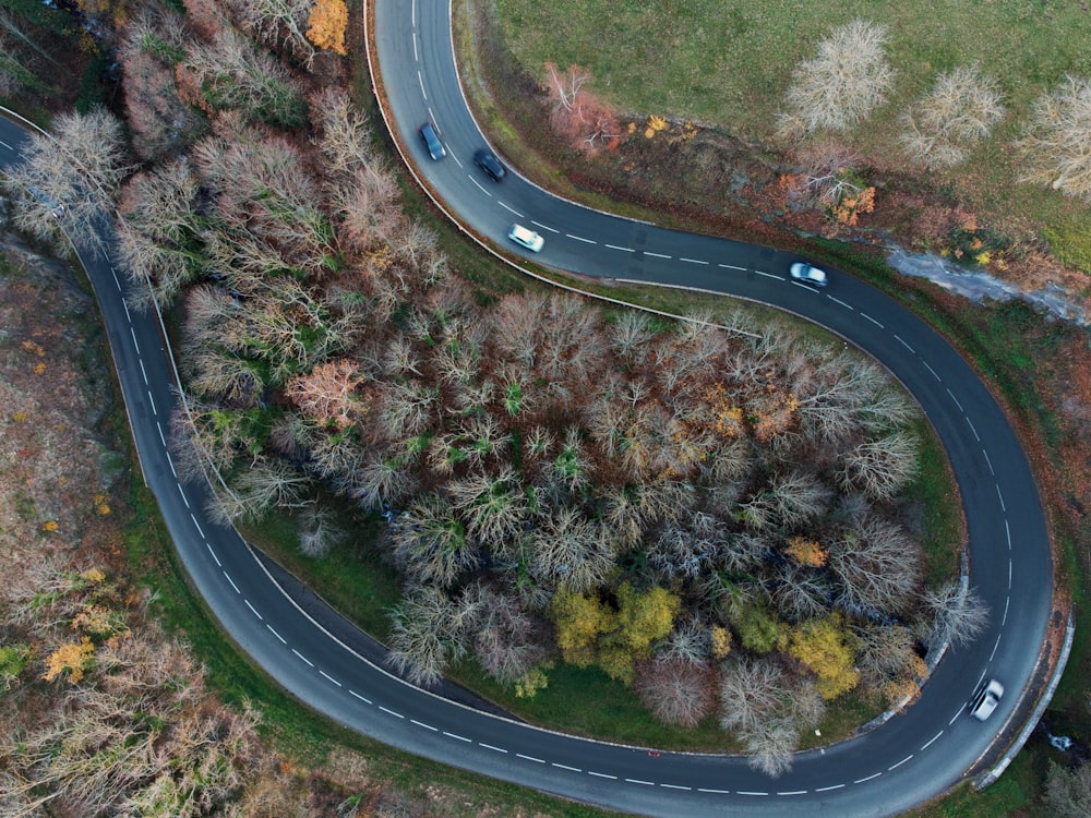 Vue aérienne d’arbres verts et de la route