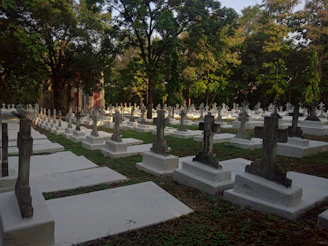 A serene columbarium surrounded by lush greenery under soft sunlight.
