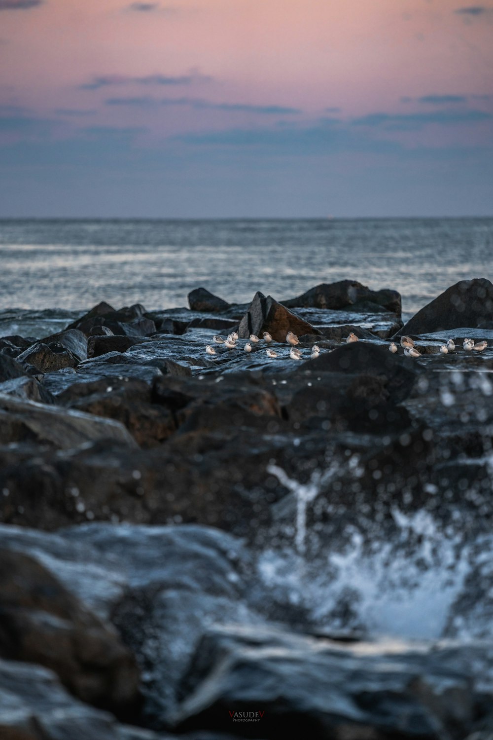 black and brown rocks on sea shore during daytime