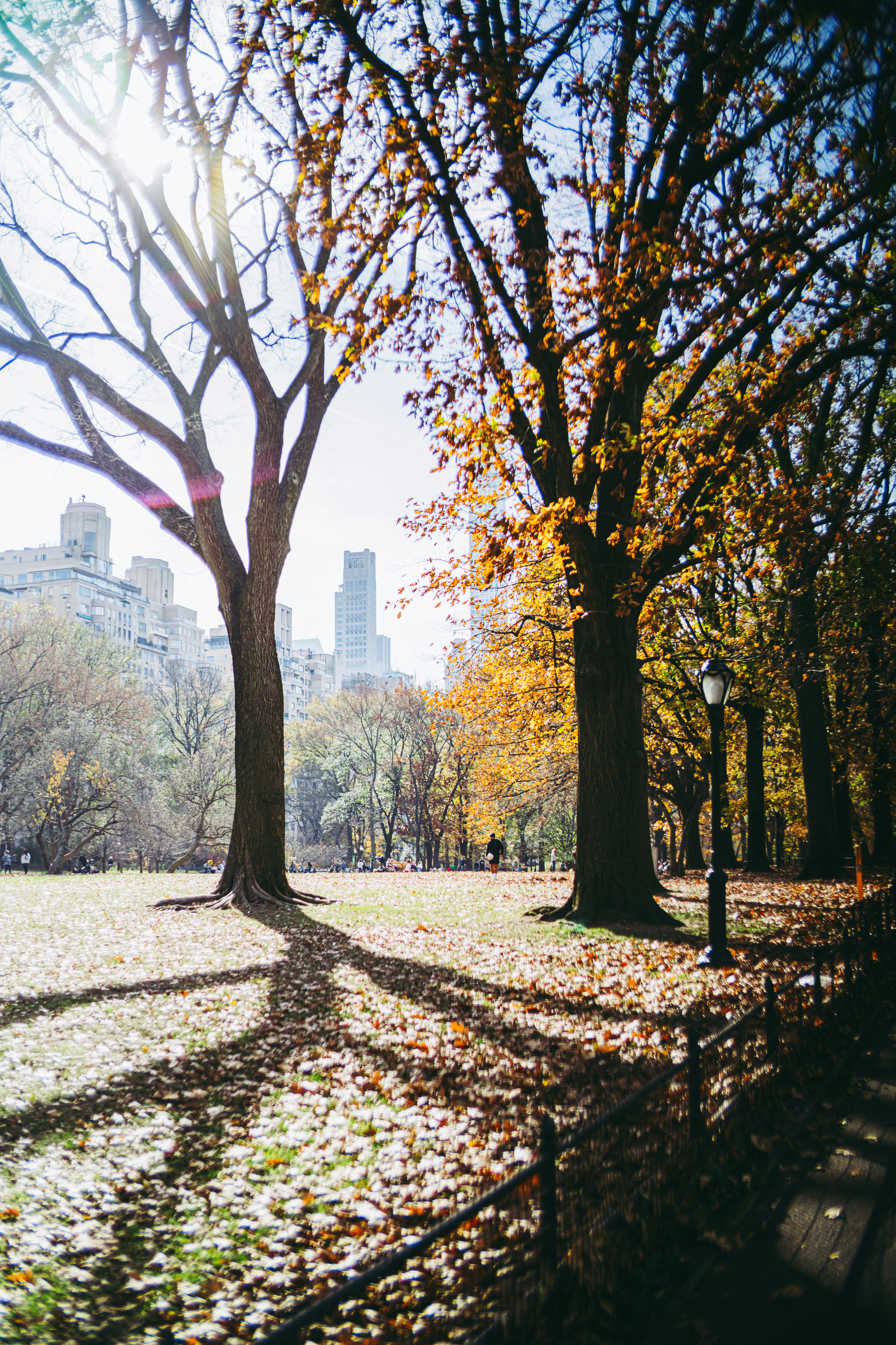 Photo by vasupendyalaa